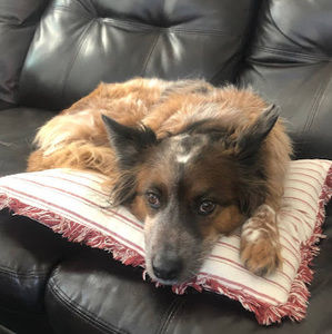 Meet your Posher, Phil